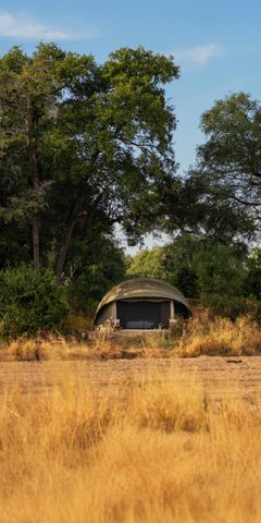 pwe-tanzania-kokoko-nature