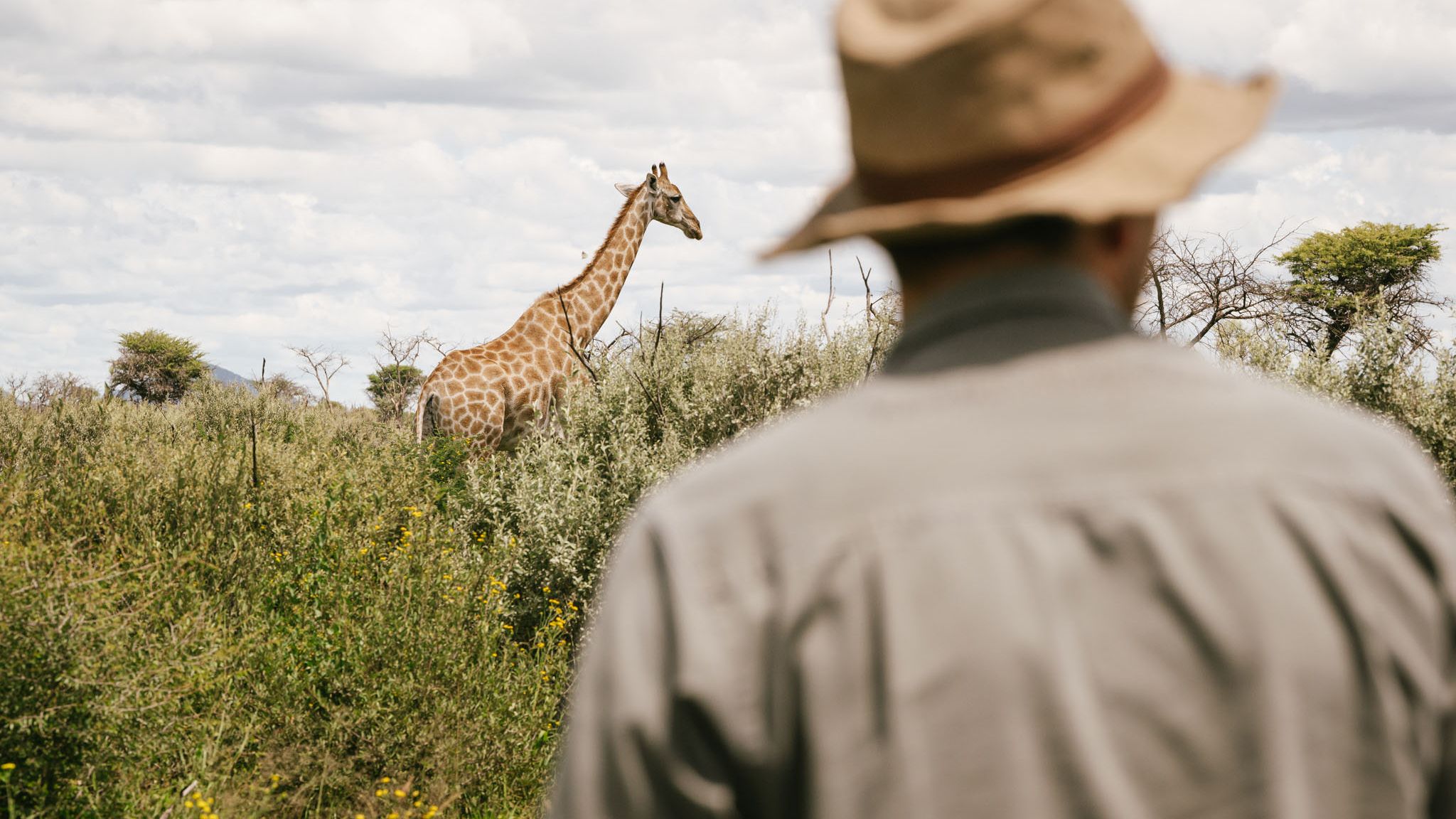 natur-und-rangerkurs-namibia-apprentice-field-guide-bushwalk-giraffe-natucate
