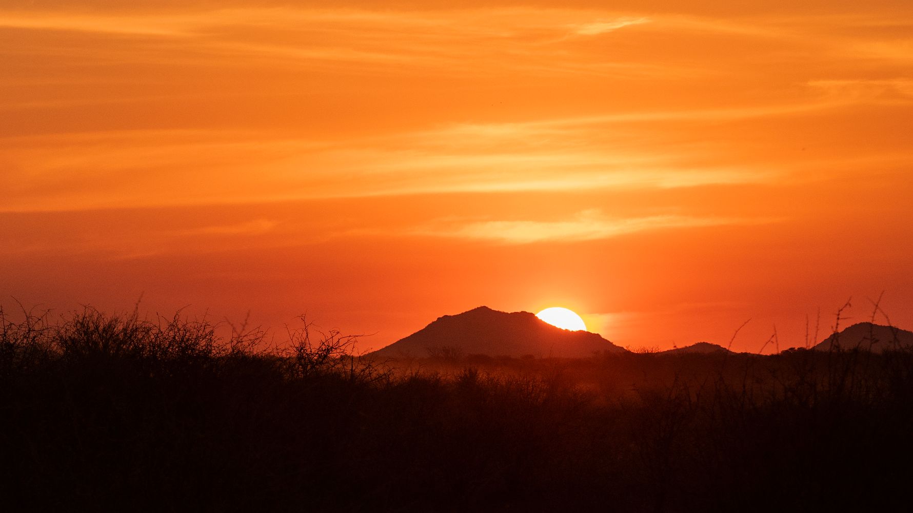 blog-ratgeber-reiseorte-madikwe-wildreservat-sonnenuntergang-natucate