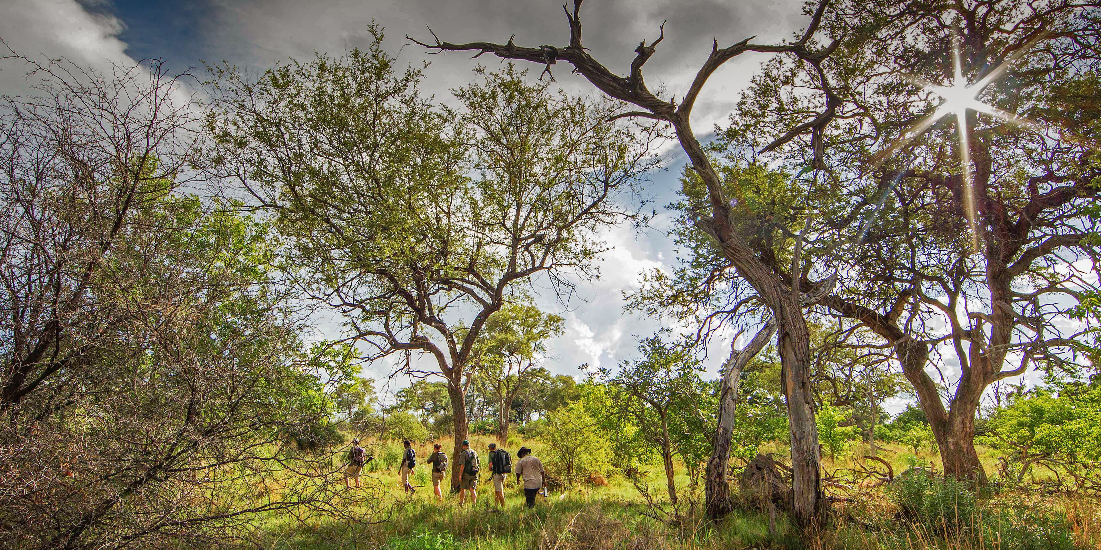 natur-und-rangerkurs-botswana-afrika-fieldguide-guide-ranger-sonnenschein-natucate