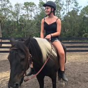 erfahrungsbericht-usa-florida-mustang-tierschutz-pferd-stall-natucate