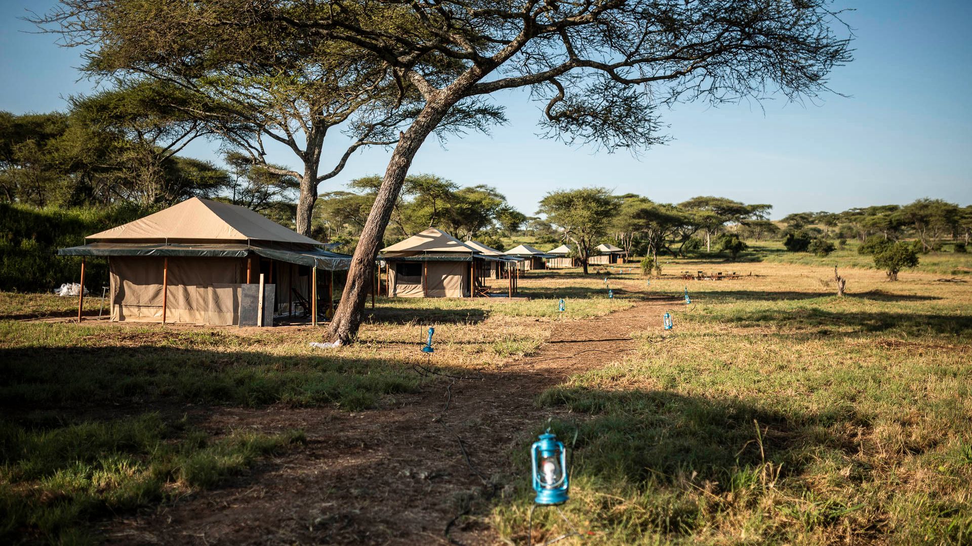 natur-und-rangerkurs-tansania-afrika-safariguide-tentedcamp-serengeti-natucate