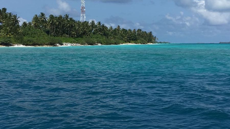 freiwilligenarbeit-malediven-erfahrungsbericht-artenschutz-kueste-natucate