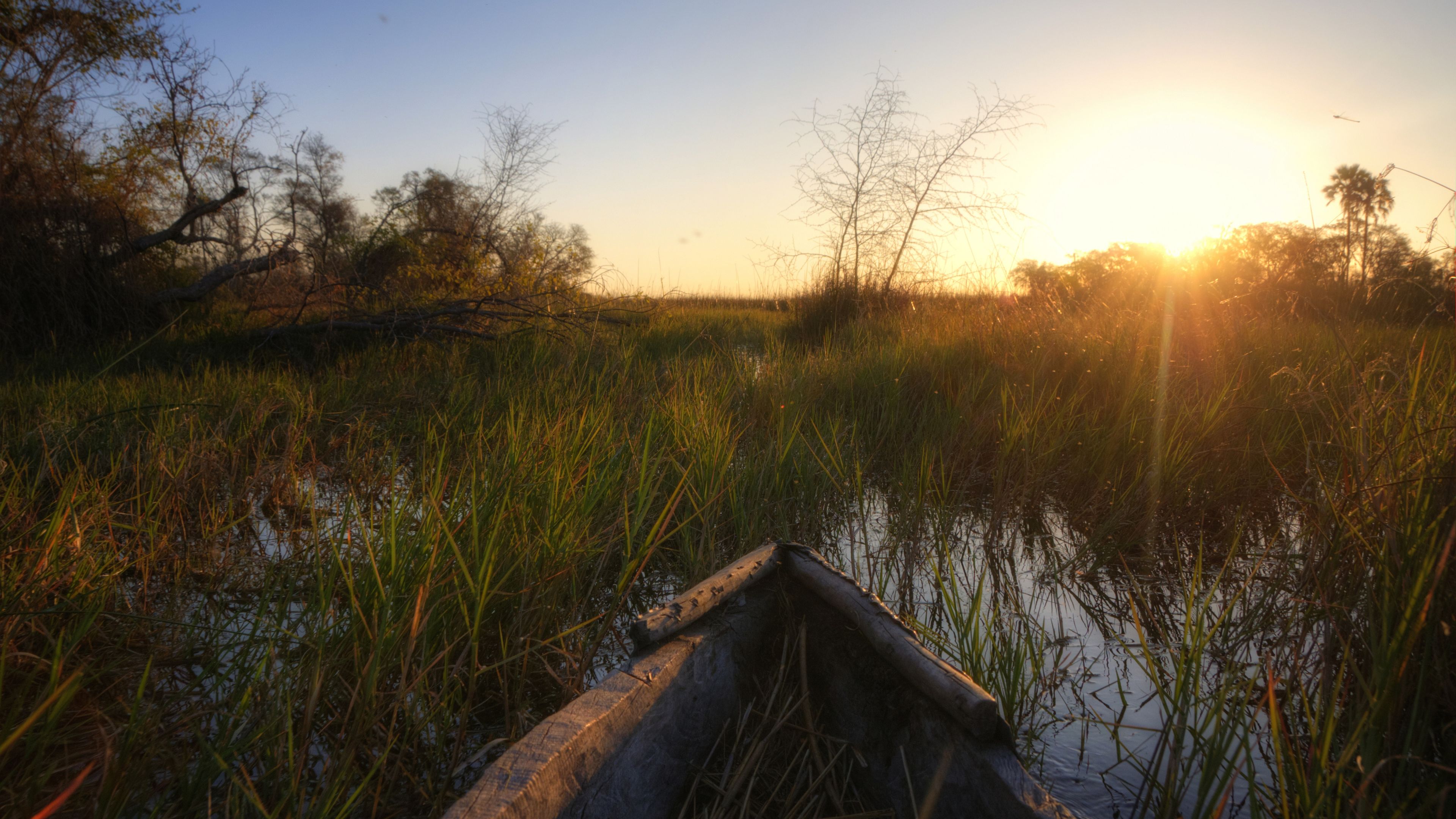 natur-und-rangerkurs-botswana-afrika-fieldguide-guide-mokoro-sonne-natucate