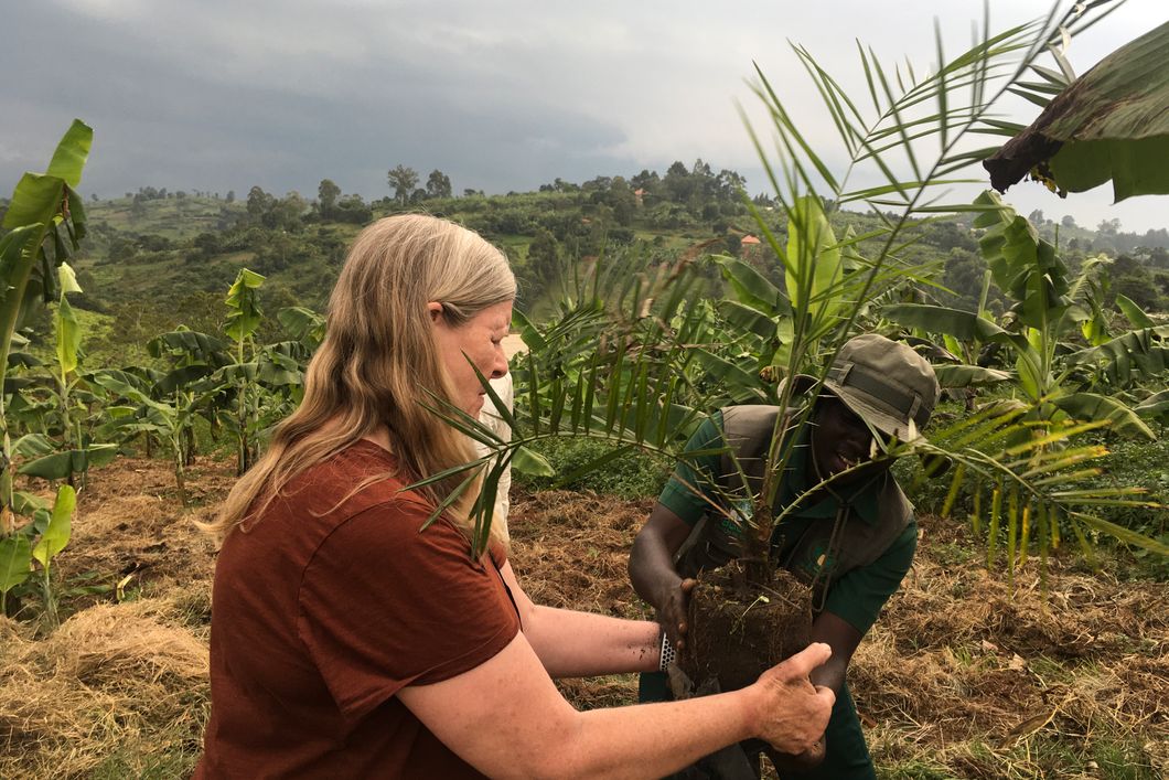 freiwilligenarbeit-uganda-pflanzen-baeume