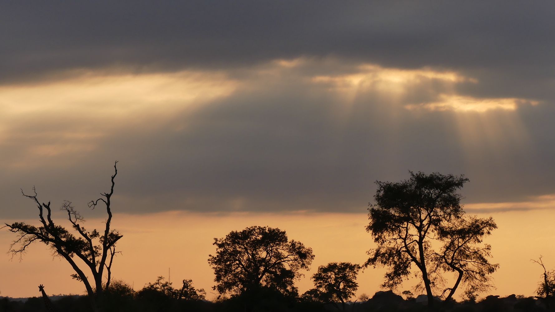 blog-sabbatical-neue-regeln-2017-himmel-natucate