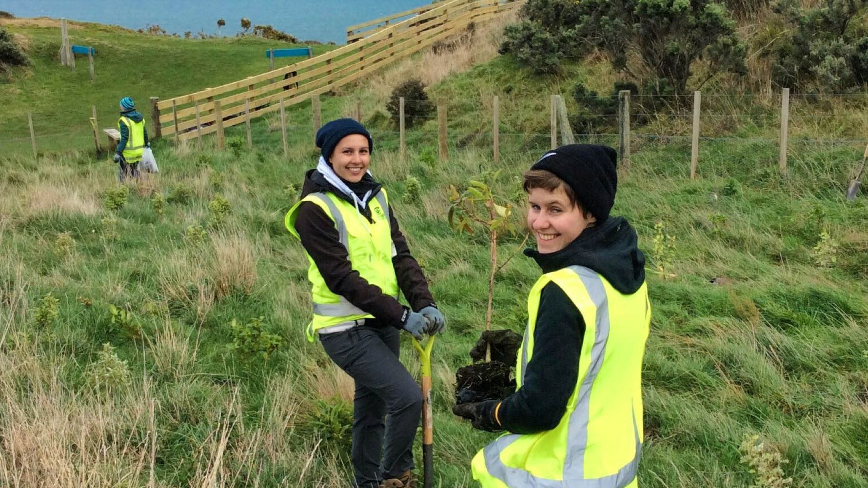 Um den Naturschutz zu bewahren arbeitenn die Volunteere auf dem Feld