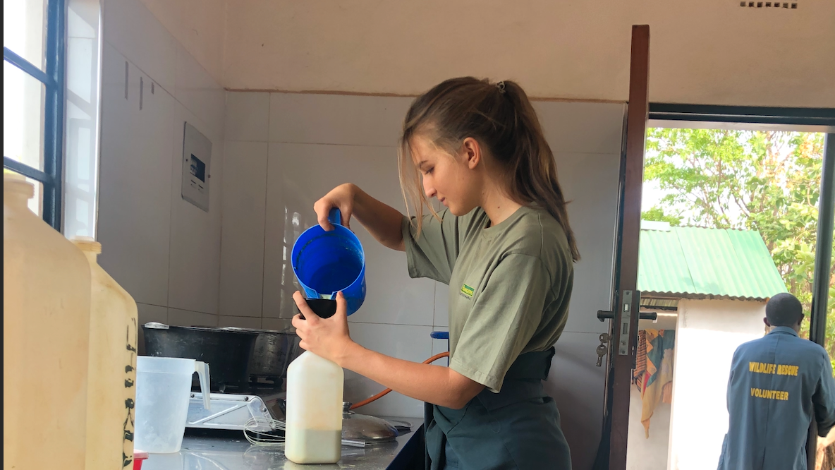 natucate-blog-review-sambia-klara-bottle-elephants