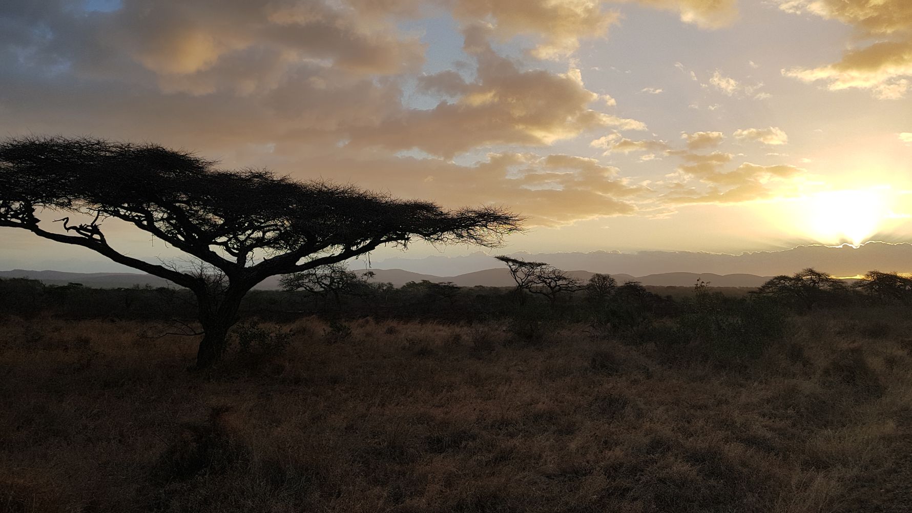 Volunteering South Africa: Looking over the savannah landscape in KwaZulu-Natal