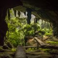 borneo-laenderinformationen-hoehle-niah-caves-natucate