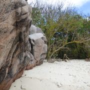 freiwilligenarbeit-seychellen-cousin-island-artenschutz-nils-strand-felsen-natucate