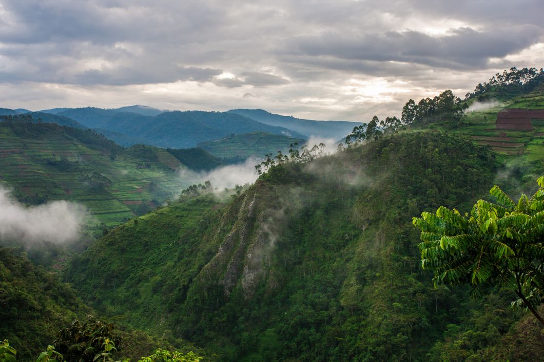 Greenery landscape in Uganda