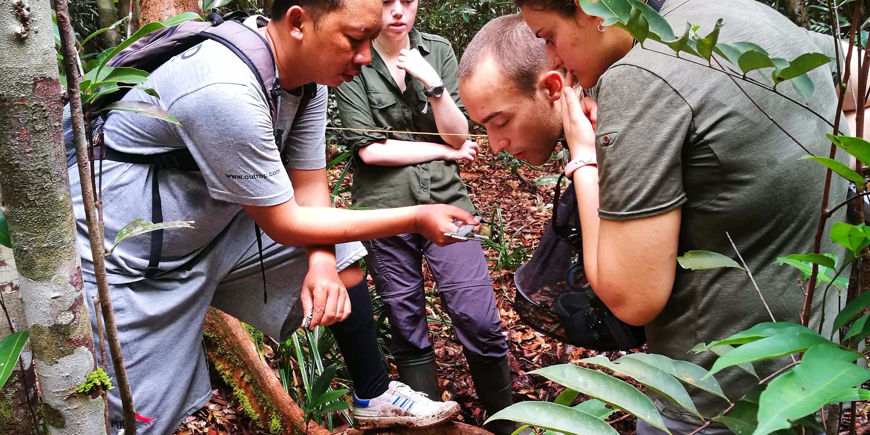 Conservation volunteers in Borneo explore the flora and fauna of the mighty Sabangau rainforest.