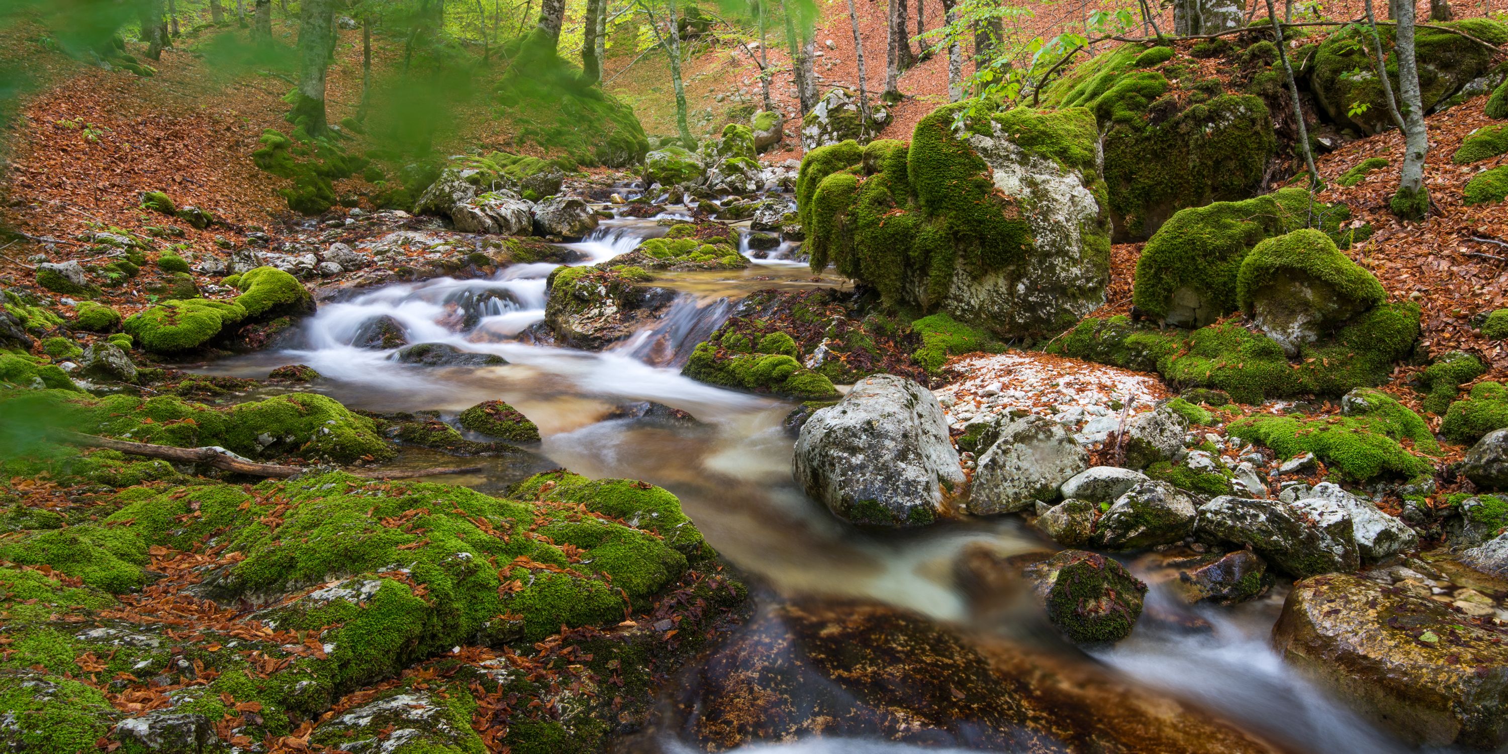 naturreise-italien-apennin-bach-natucate