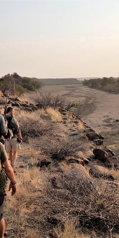 Sichtung von Wildtieren im afrikanischen Busch bei einer Pirschwanderung des Rangerkurses