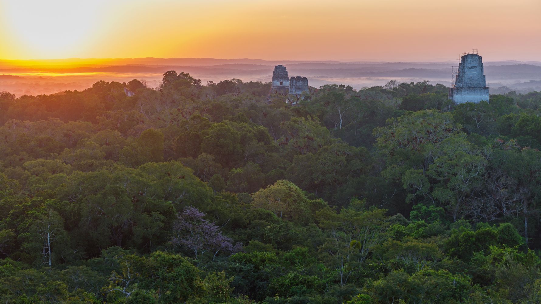 Sunset over Tikal overlooking trees