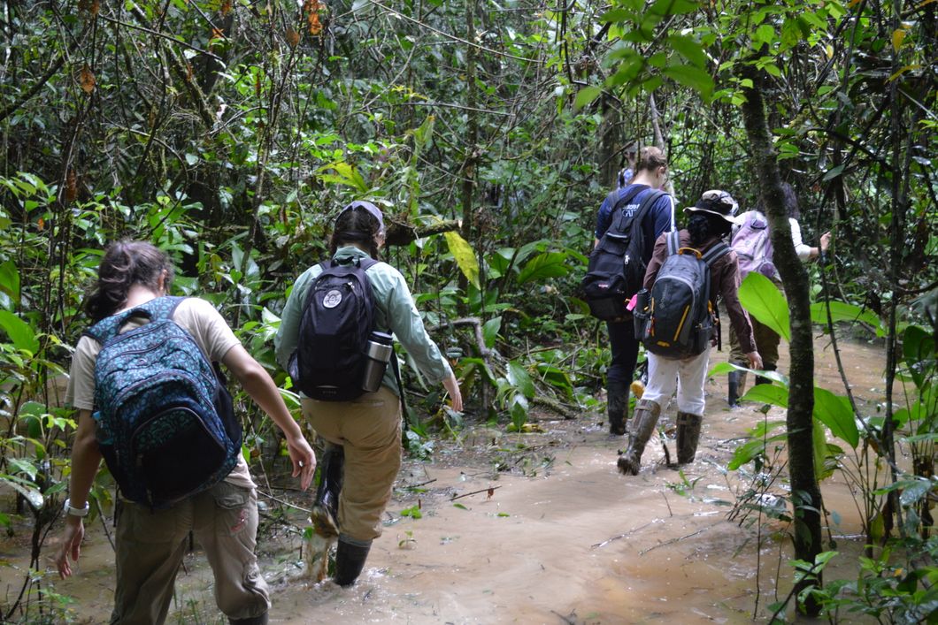 Studenten eines Rangerkurses waten durch ein flaches Flussbett im suedamerikanischen Regenwald