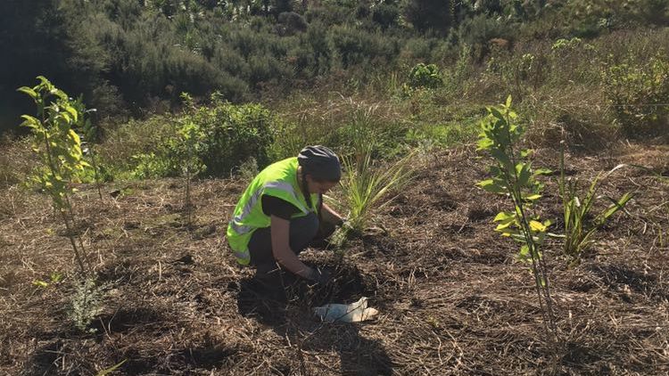 freiwilligenarbeit-ozeanien-naturschutz-natucate