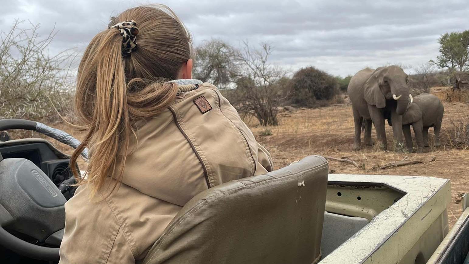 erfahrungsbericht-suedliches-afrika-professional-field-guide-rangerausbildung-natucate-vivien-elefanten-in-mashatu