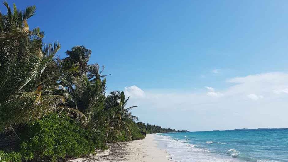 freiwilligenarbeit-malediven-asien-artenschutz-walhaie-projektbesuch