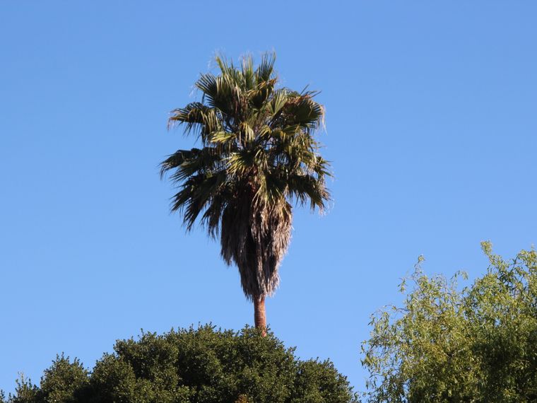 erfahrungsbericht-usa-florida-wildlife-tierschutz-landschaft-natucate