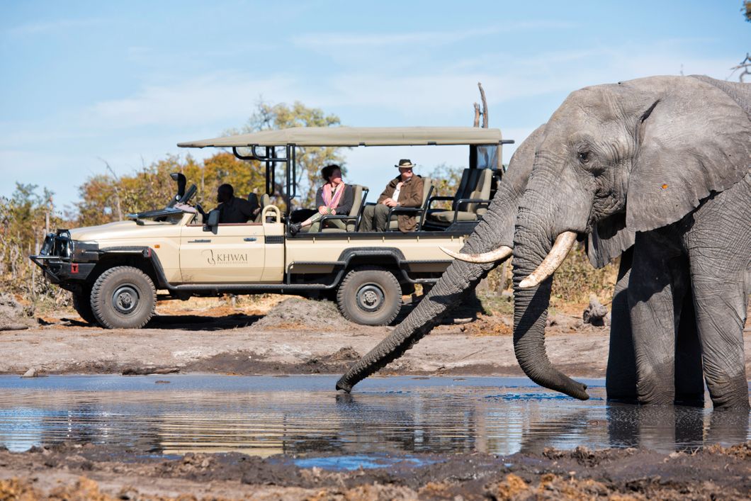 natucate-safari-botswana-abenteuer-camp-elephant-pan-game-drive