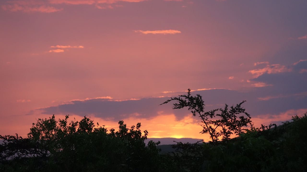 freiwilligenarbeit-suedafrika-erfahrungsbericht-kundenfotos-artenschutz-sonne-natucate