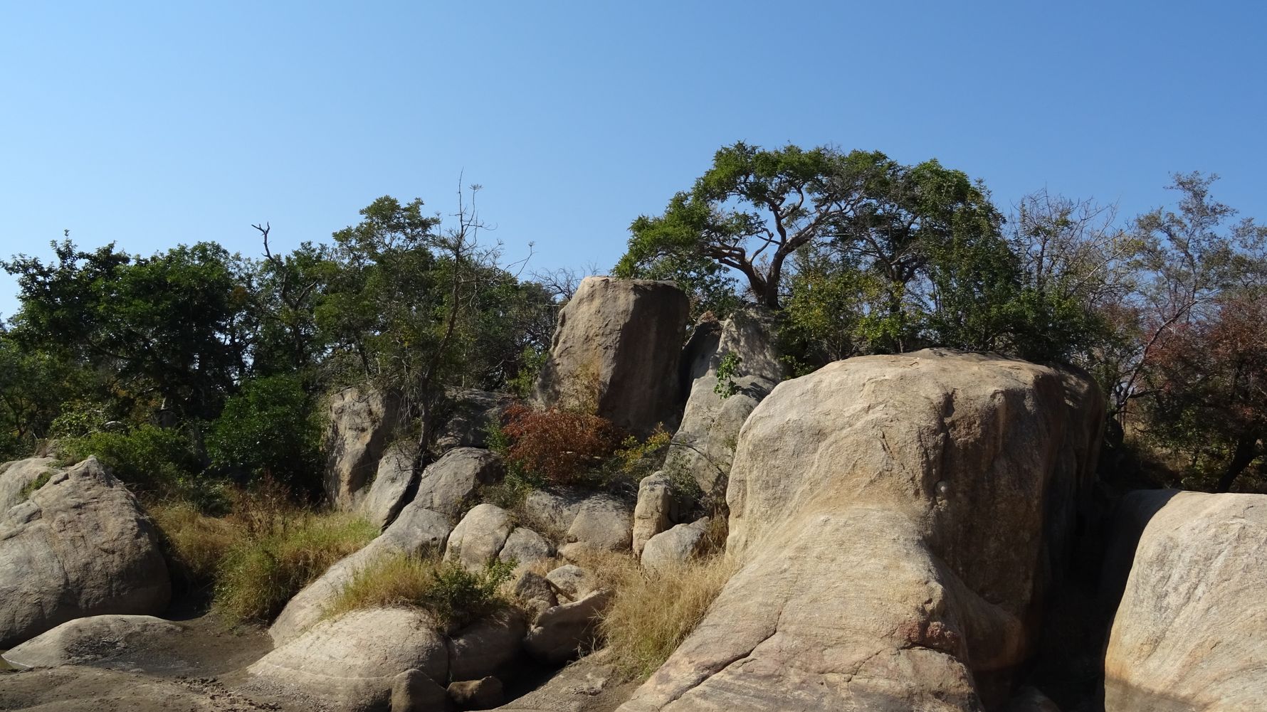 erfahrungsberichte-safari-guide-rangerausbildung-landschaft-natucate