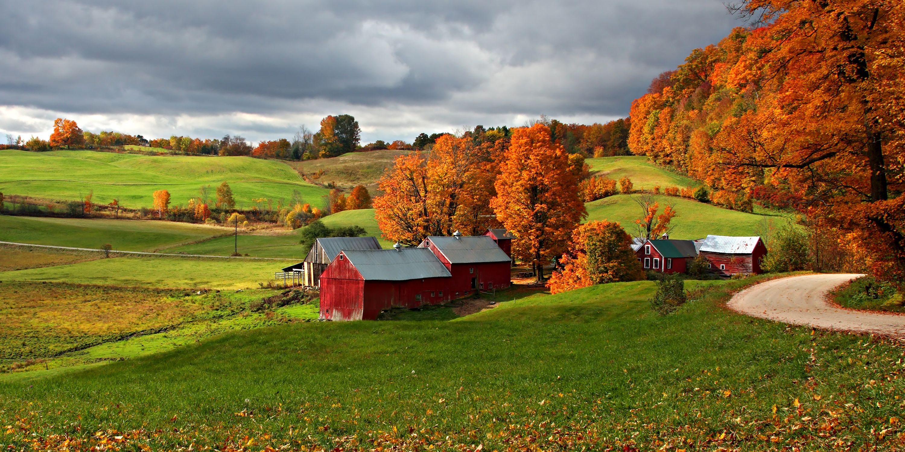 Die Baeume neben einer Farm in Nordamerika strahelen in gel-roten Farben
