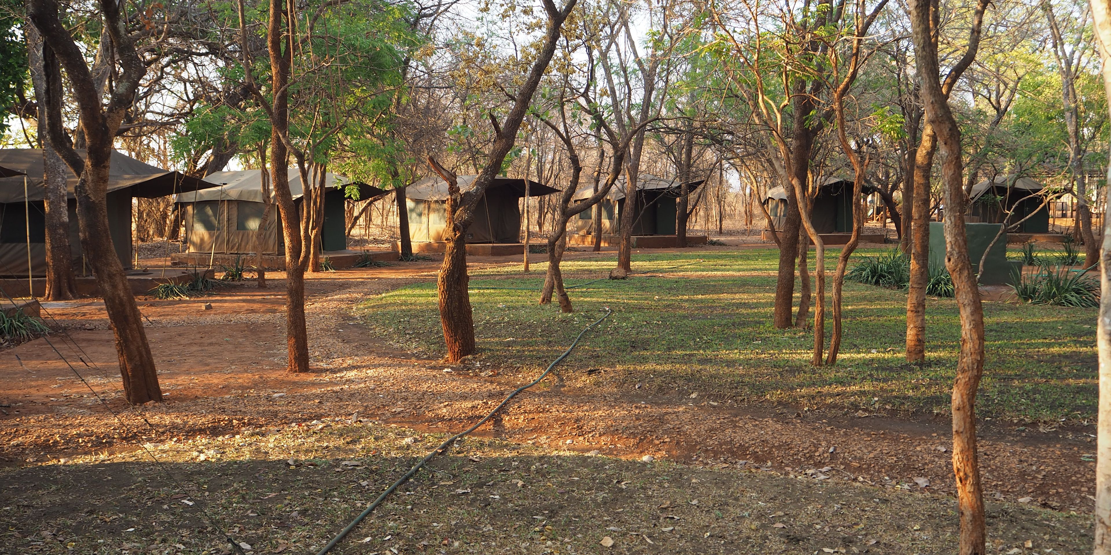 Volunteer tents in the elephant project near Zambia's capital of Lusaka