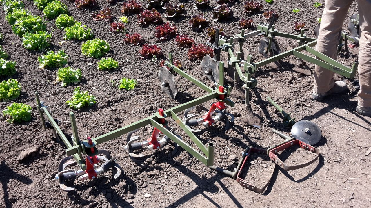 erfahrungsbericht-praktikum-usa-landwirtschaft-arbeit-natucate