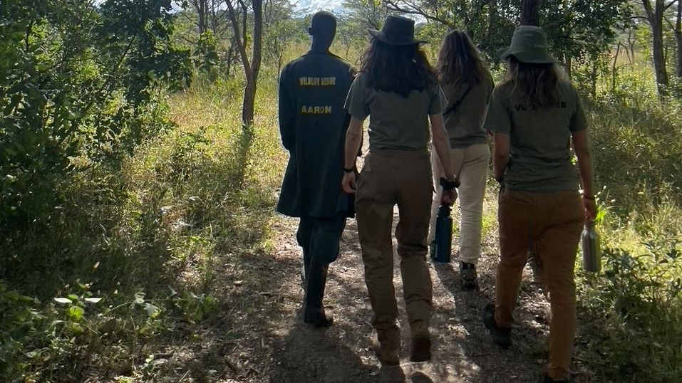 Das Team vom Elefantenschutzprojekt in Sambia geht gemeinsam weg