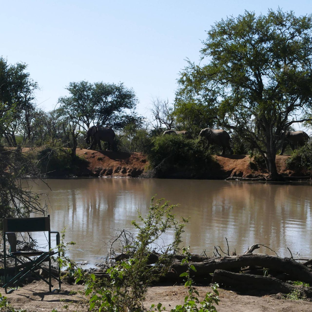 erfahrungsberichte-rangerkurse-suedafrika-trails-guide-carina-fluss-natucate