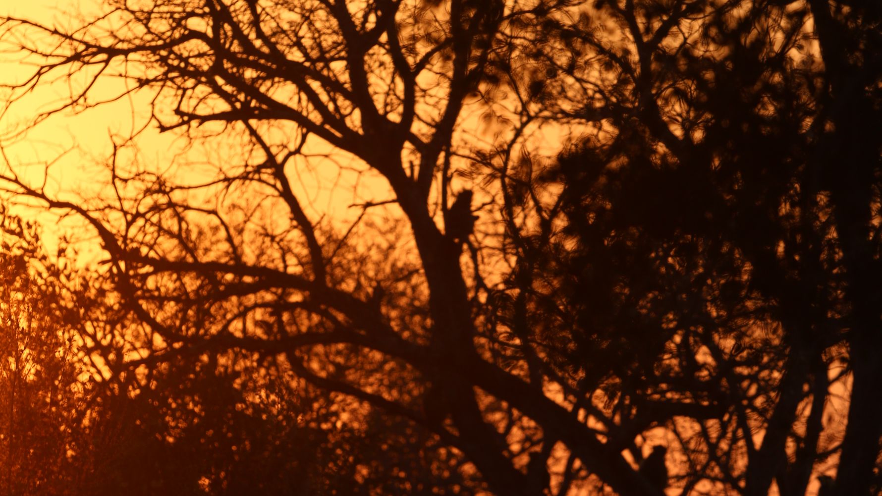 erfahrungsberichte-rangerkurse-suedafrika-field-guide-level-1-sara-sonne-aeste