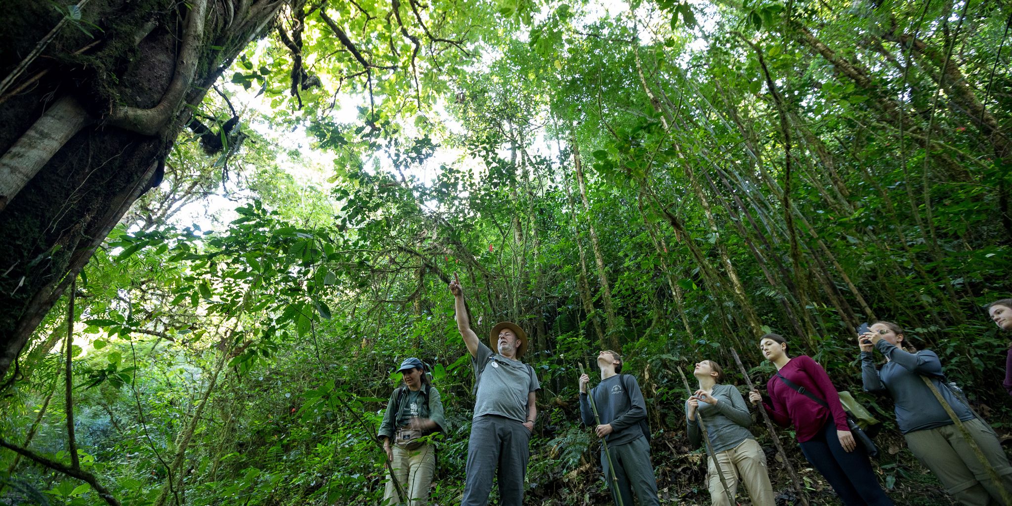 natucate-volunteer-abroad-costa-rica-nature-conservation-group-hike