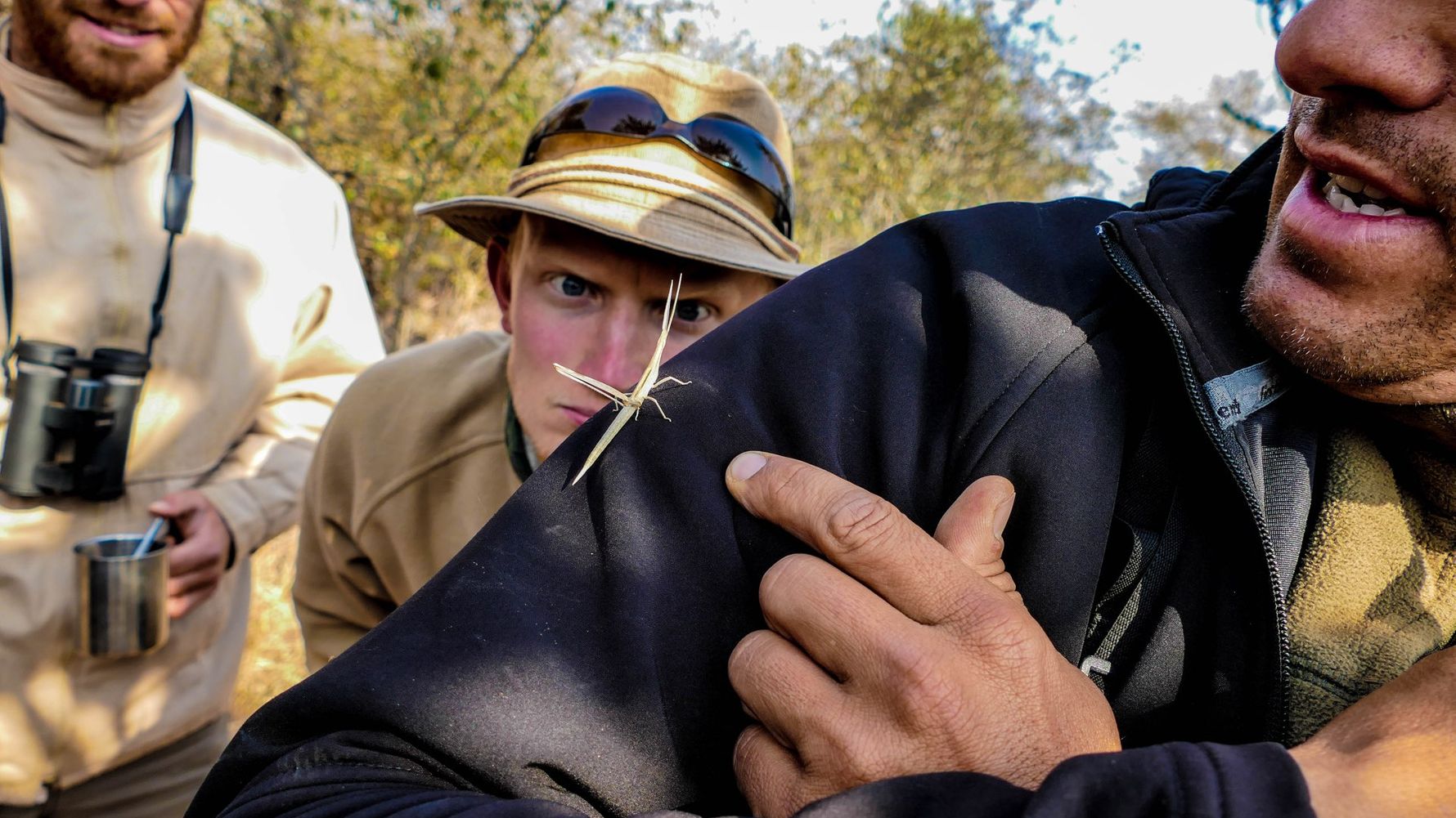 erfahrungsbericht-suedafrika-rangerausbildung-kundenfotos-insekt-natucate