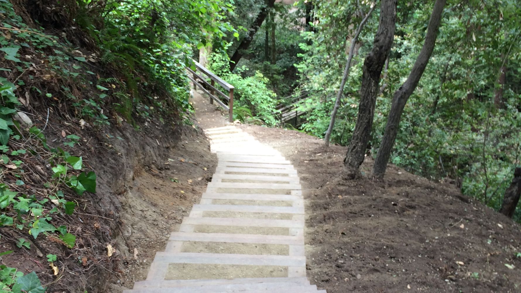 freiwilligenarbeit-usa-kalifornien-erfahrungsbericht-naturschutz-kundenfotos-arbeiten-natucate