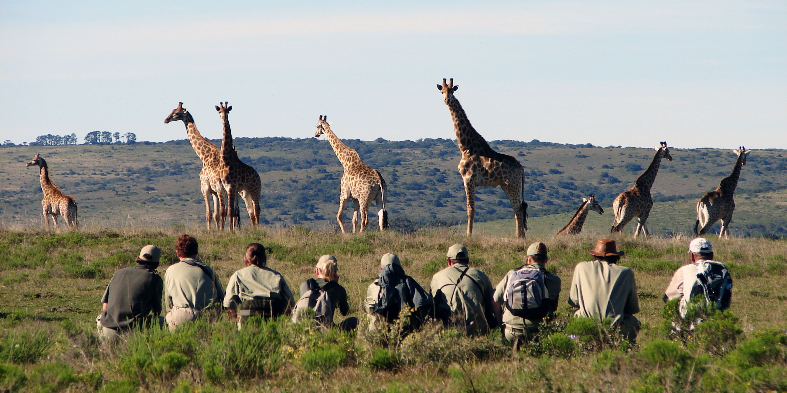 Eine Gruppe von Field Guide-Studenten in Suedafrika beobachtet auf einem Bush Walk eine Herde Giraffen