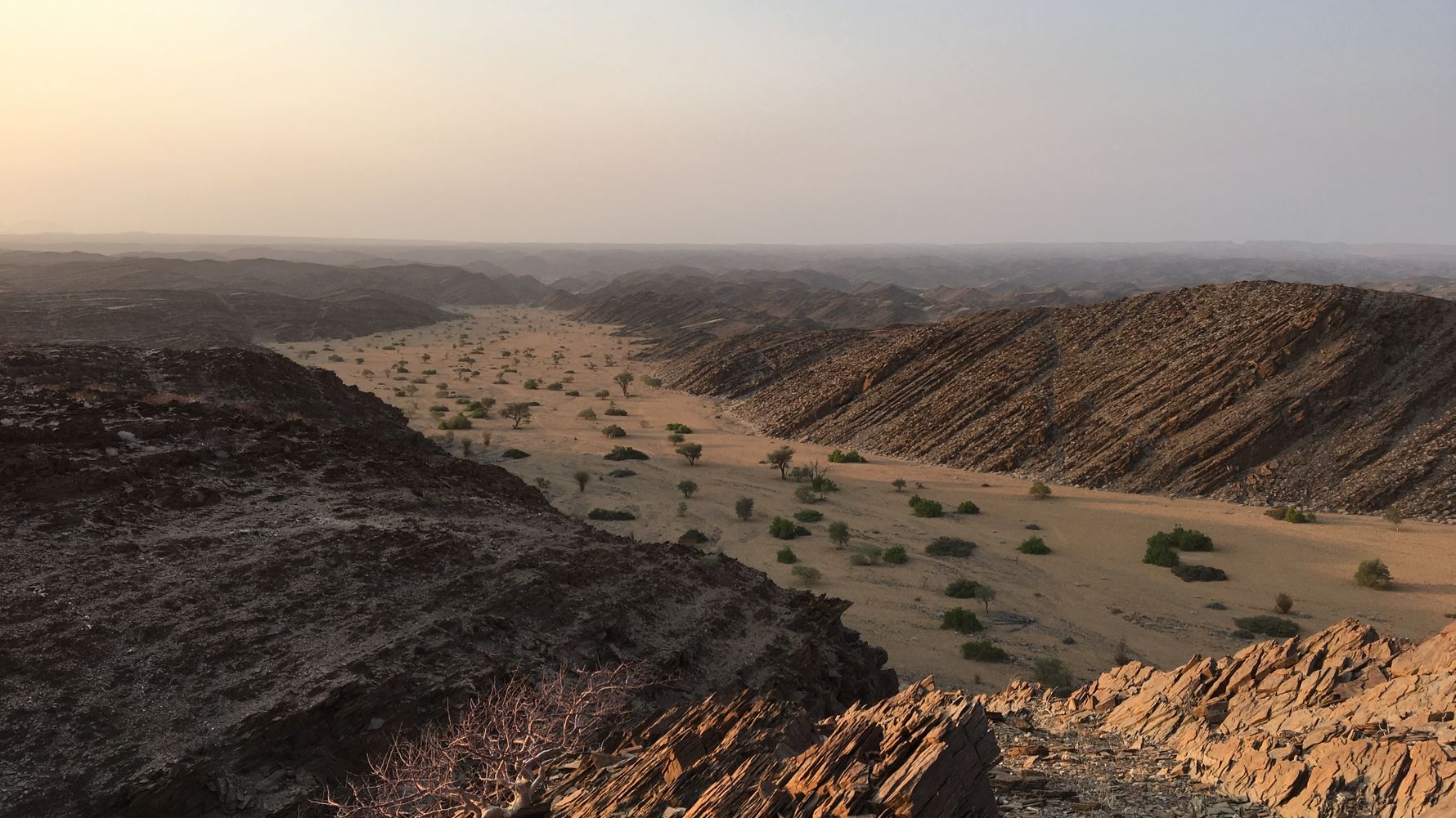 Eine bereite Schlucht zieht sich durch die Landschaft Namibias