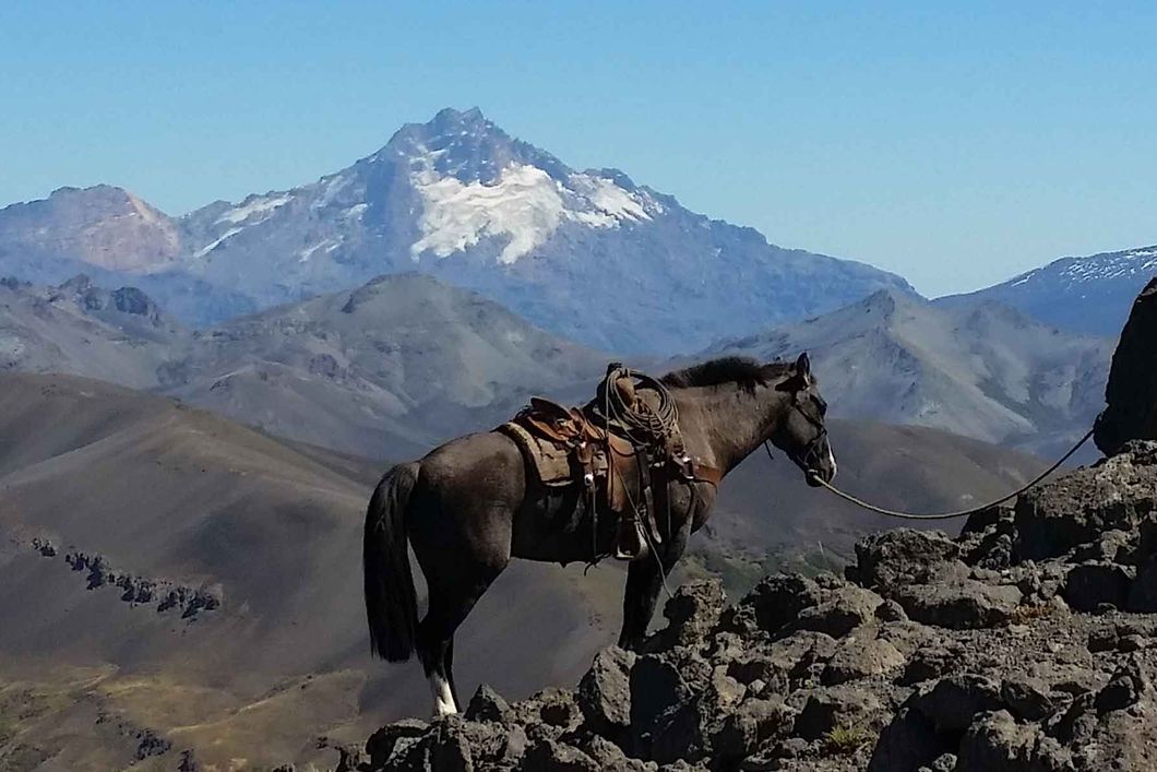 Ein gesatteltes Pferd steht angeleint auf Gebirgsgeroell mit Blick auf die Anden