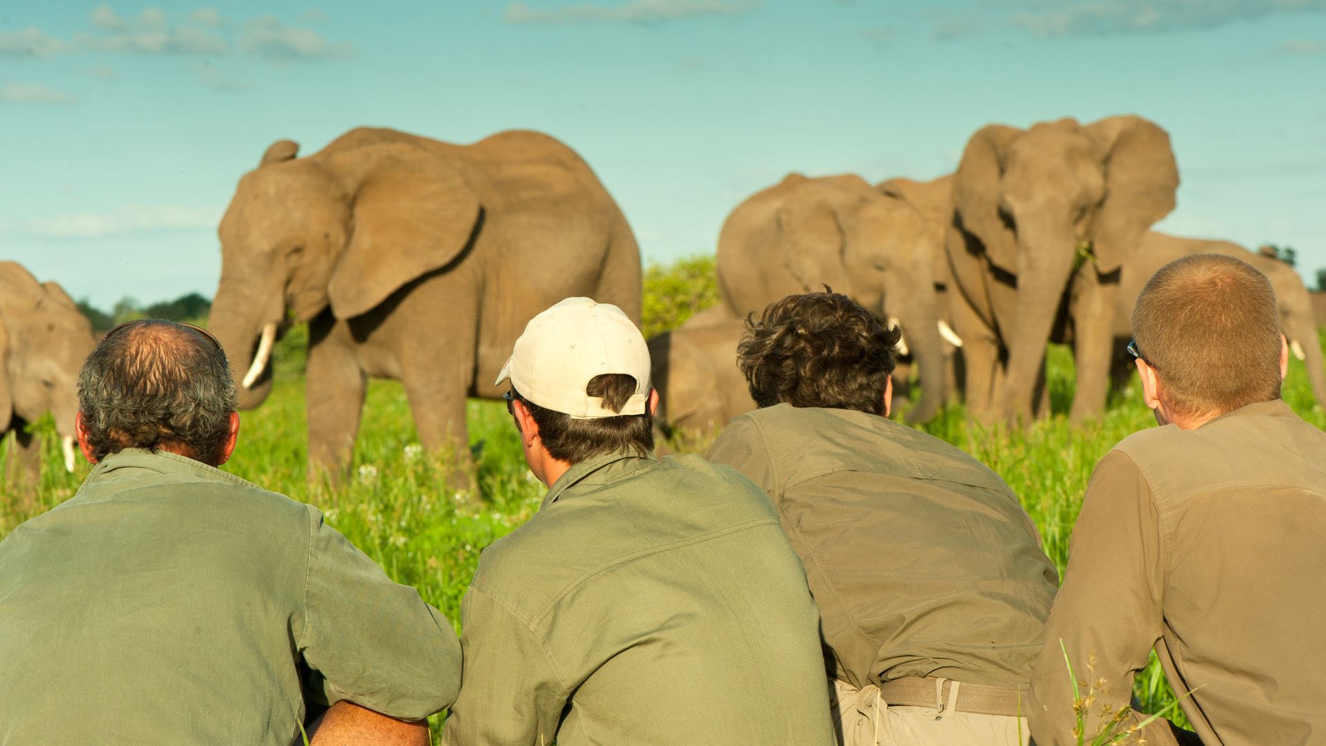 Eine Gruppe von Studenten beobachten eine Elefantenherde beim Grasen im afrikanischen Busch