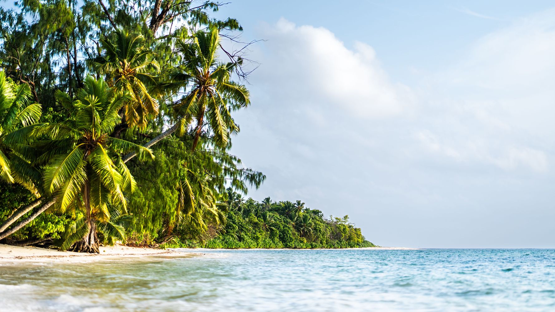 natucate-travel-volunteering-seychelles-platte-island-beach-palmtrees