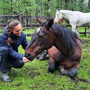 erfahrungsberichte-freiwilligenarbeit-kanada-pferdeschutz-lisa-natucate-freiwilligenhelferin-neben-einem-liegenden-pferd