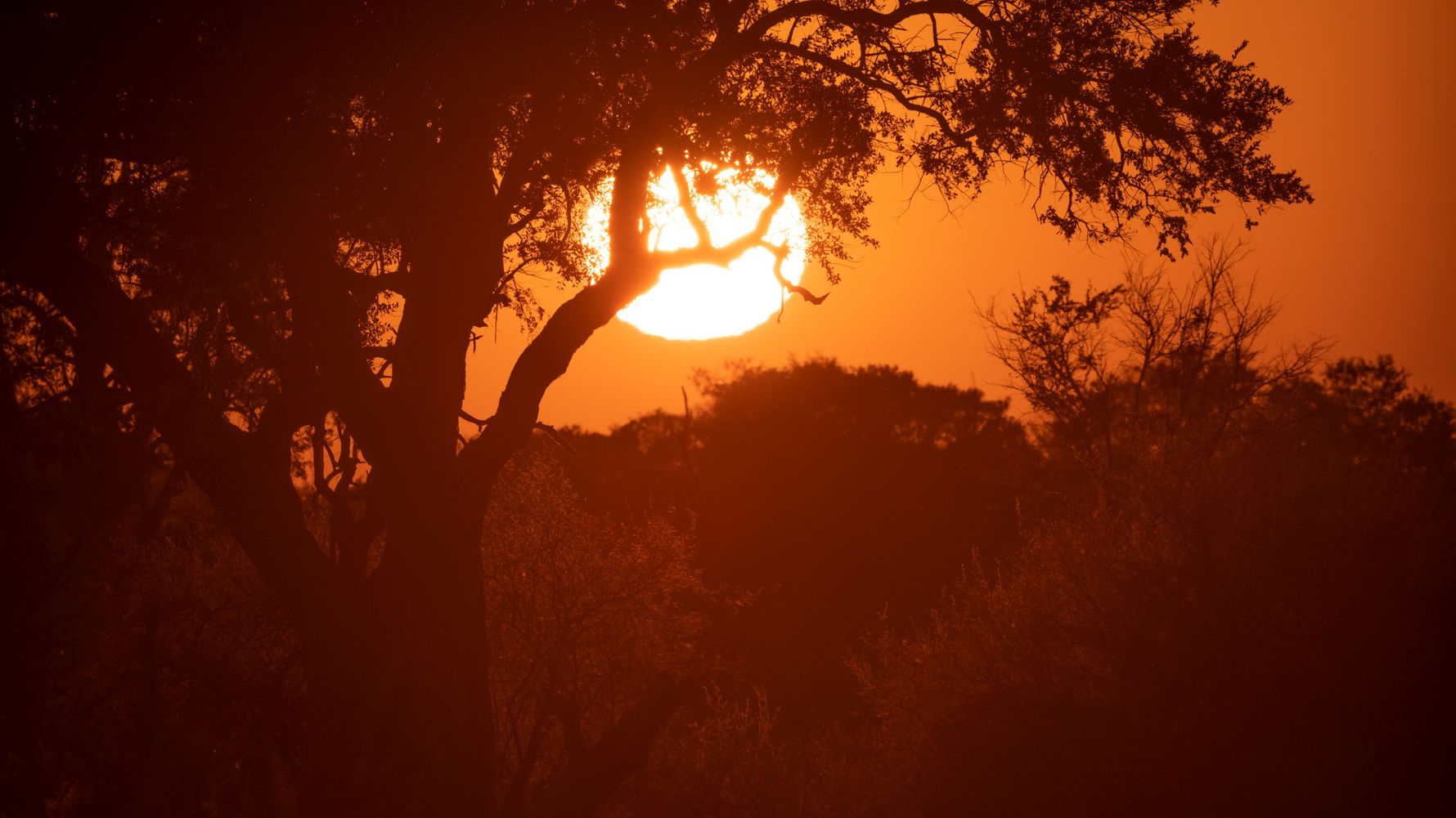landingpage-sabbatical-afrika-sonnenuntergang-natucate