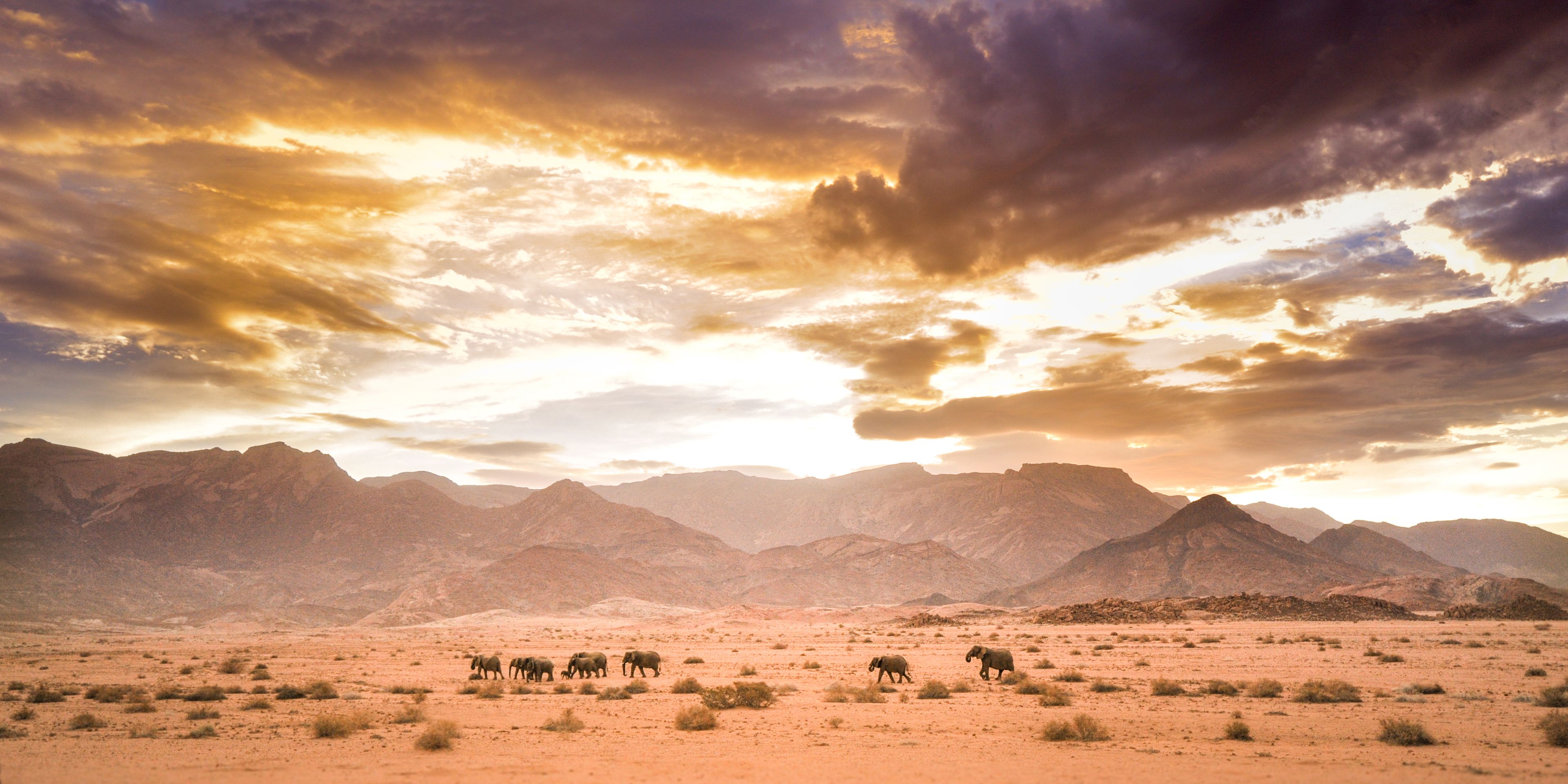 natucate-trips-pwe-namibia-damaraland-brandberg-elephant-herd