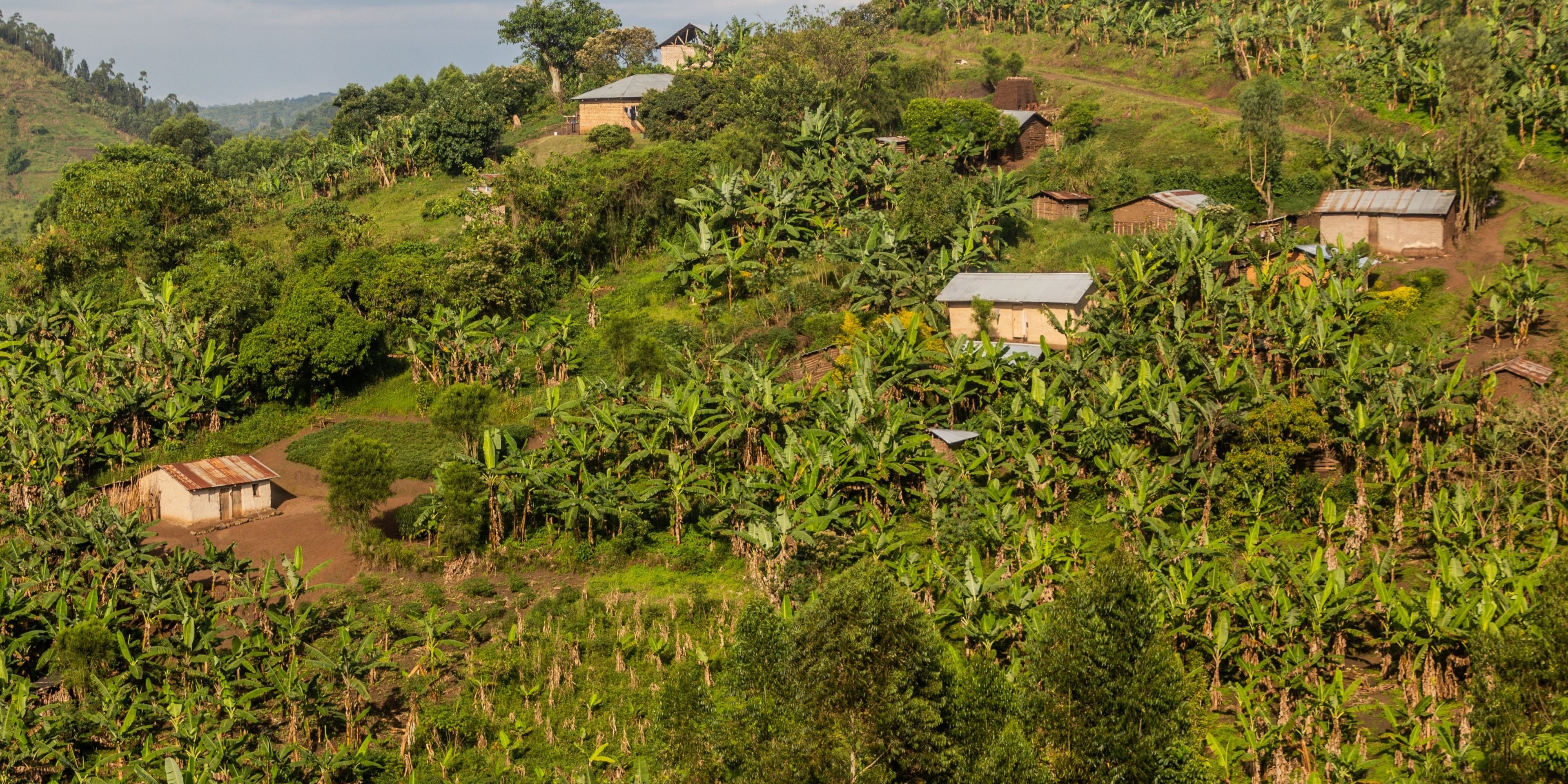 freiwilligenarbeit-uganda-dorf