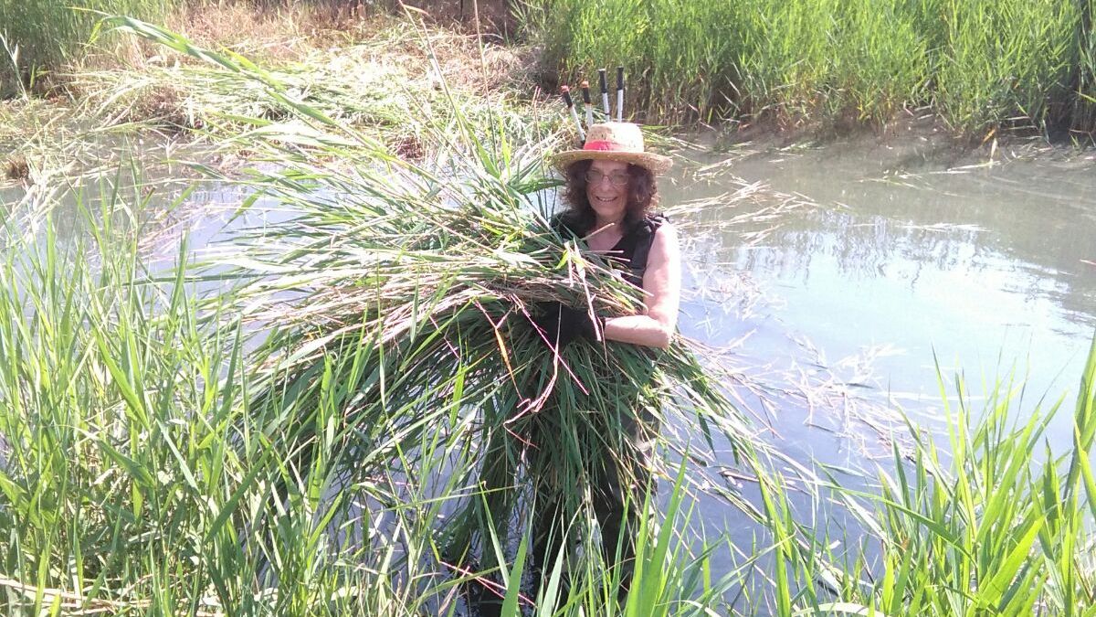 freiwilligenarbeit-spanien-erfahrungsbericht-arbeit-natucate
