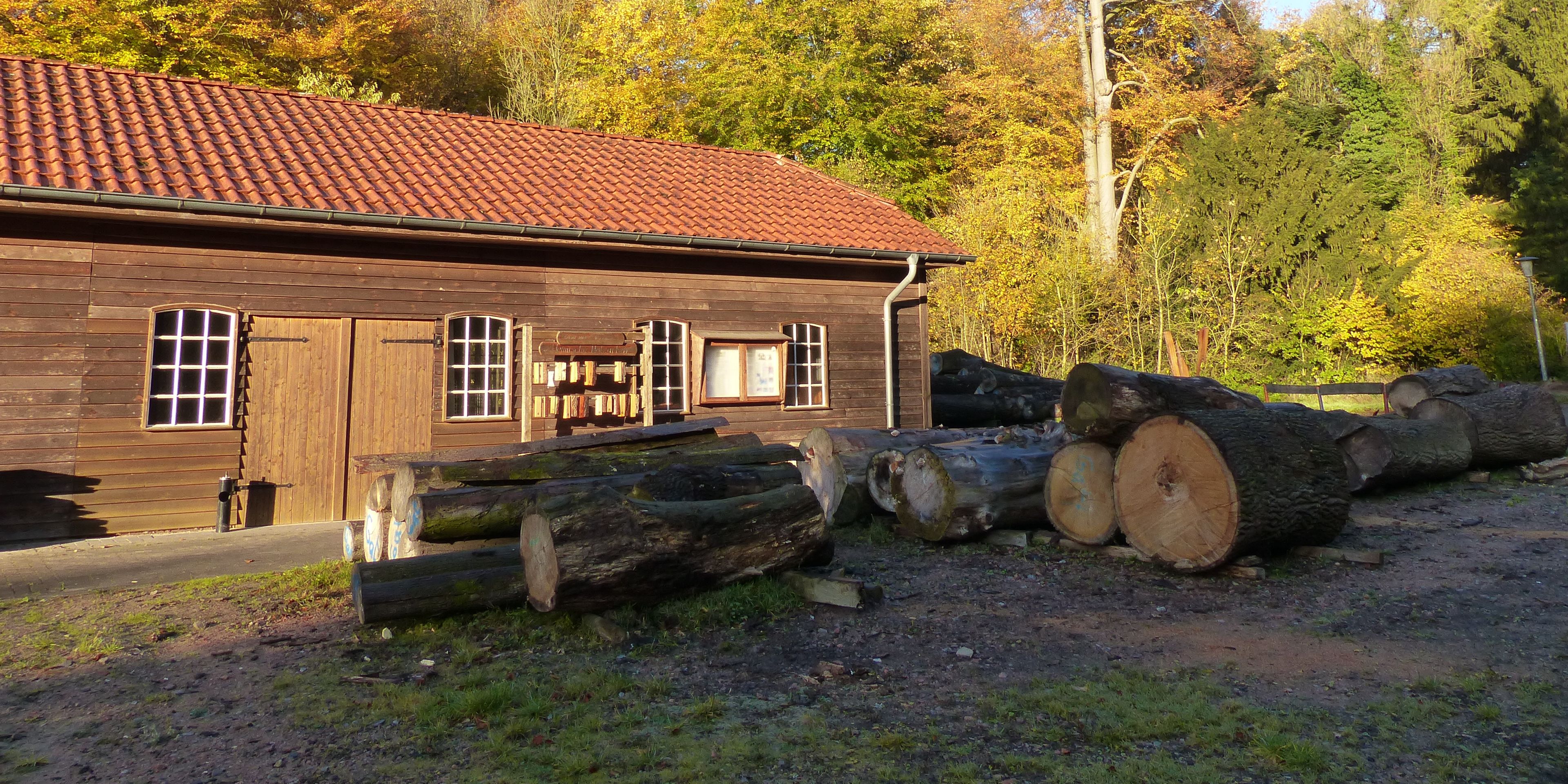 naturreise-deutschland-ostfriesland-ecotour-holzwirtschaft-natucate