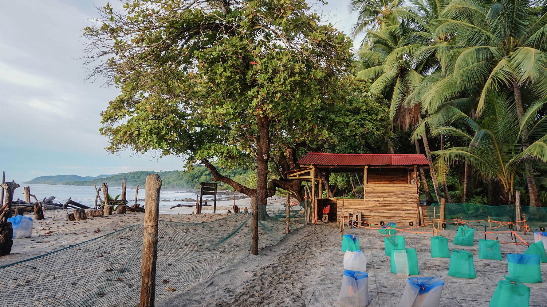 erfahrunsgbericht-costa-rica-praktikum-kundenfotos-artenschutz-auffangstation-natucate