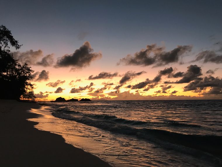 erfahrungsberichte-freiwilligenarbeit-seychellen-cousin-island-artenschutz-kai-sonnenuntergang-wolken-natucate